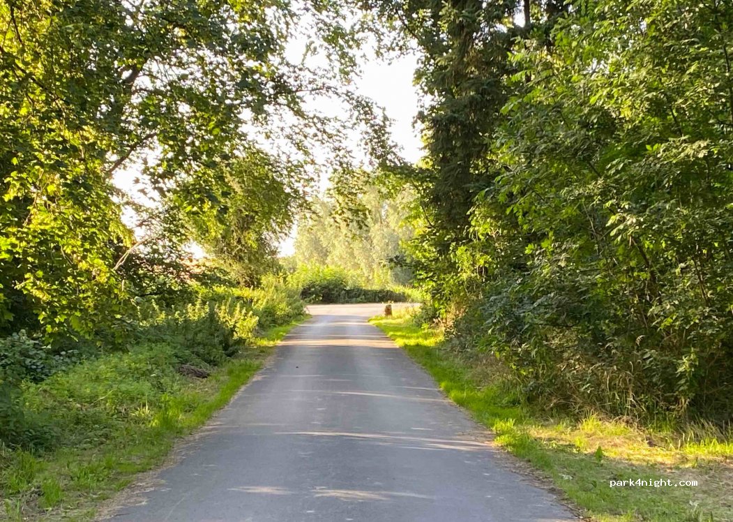 (59360) Ors - Route Forestière du Flaquet Brifaux — foto