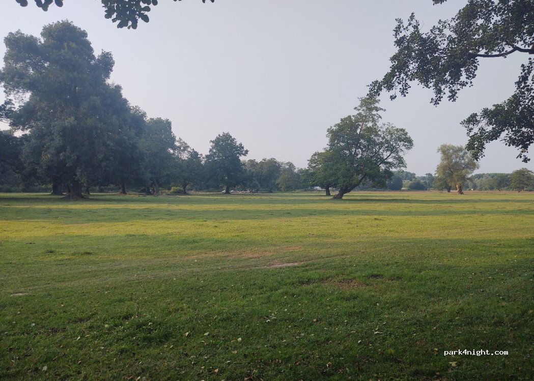 (81800)  - Unnamed Road — foto 2