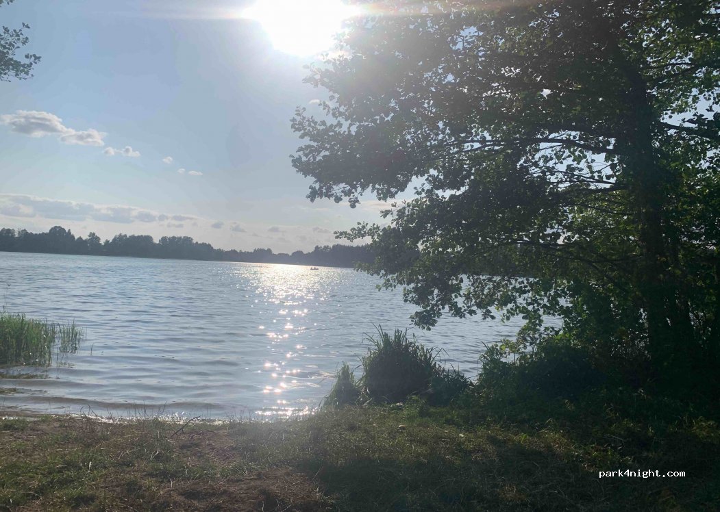 (16-326) Płaska - — foto 2