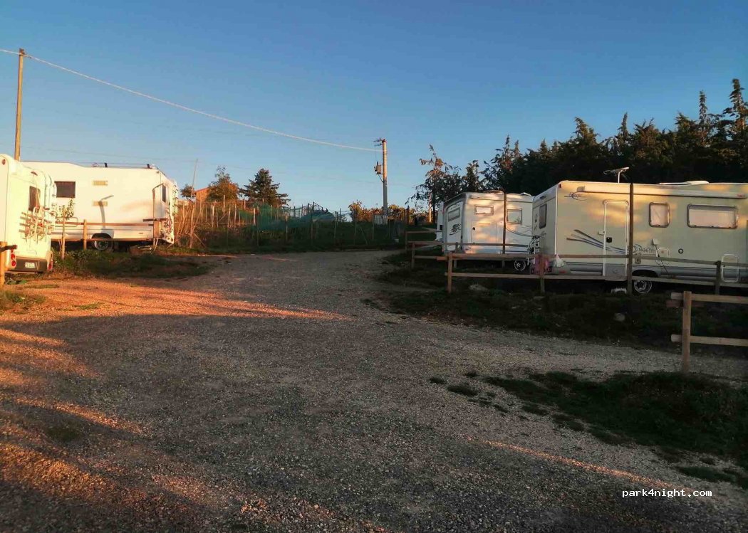 Agrisosta Fabbrini — foto 2