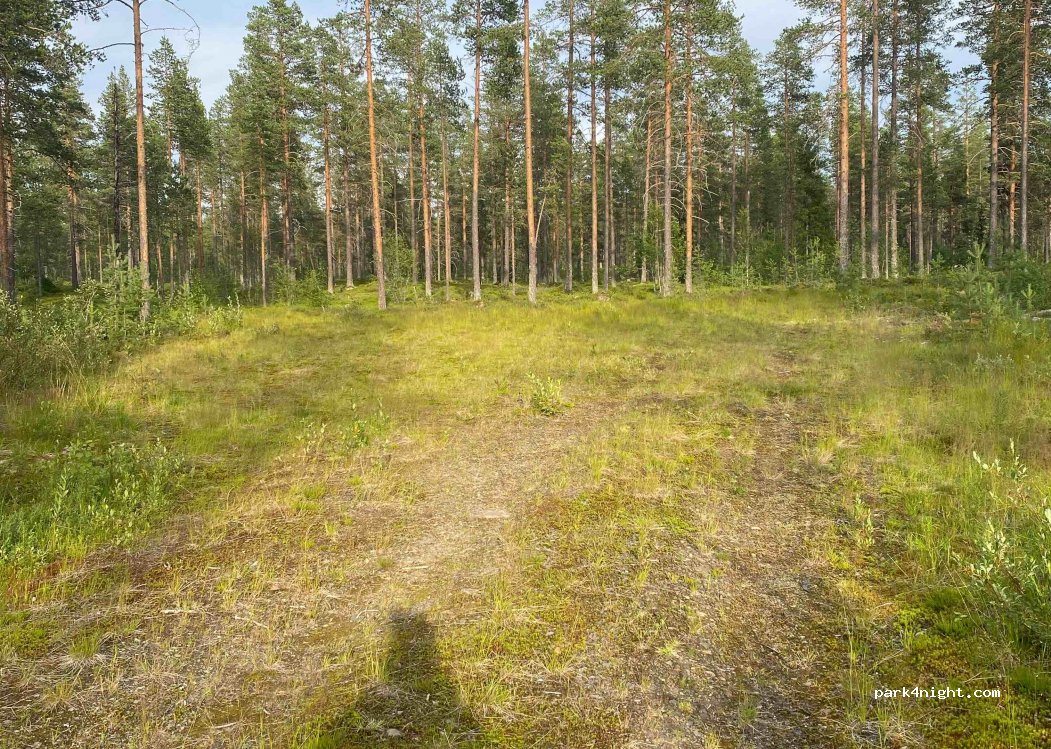 (2432) Trysil - Primær Fylkesveg 215 — foto 2