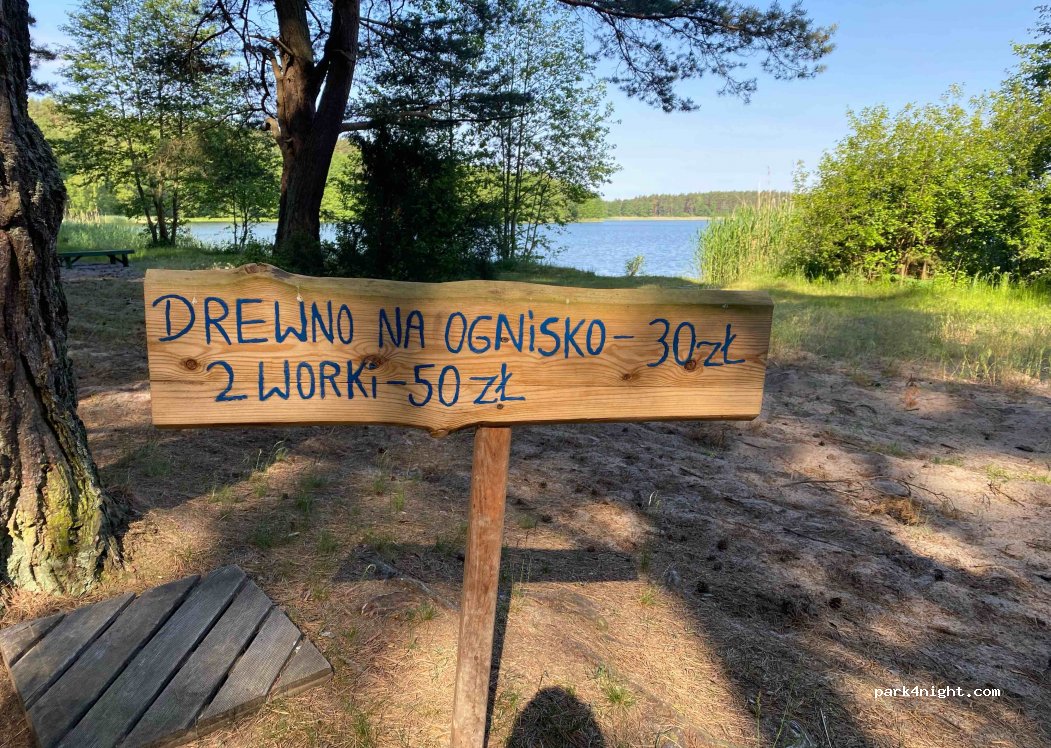 Leśne pole namiotowe — foto 3