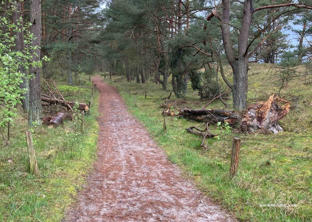 Meissner Sonnencamp Natur Campsite — foto 4