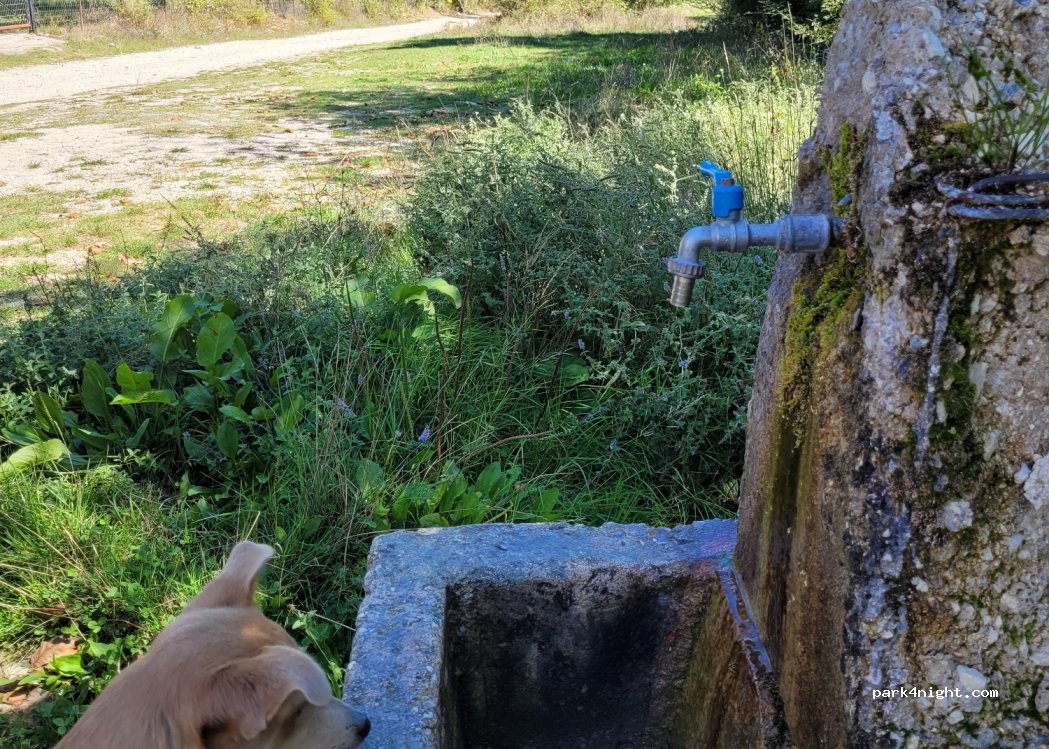 (455 00) Dodoni - Eparchiaki Odos Dodonis-Meliggon — foto 4