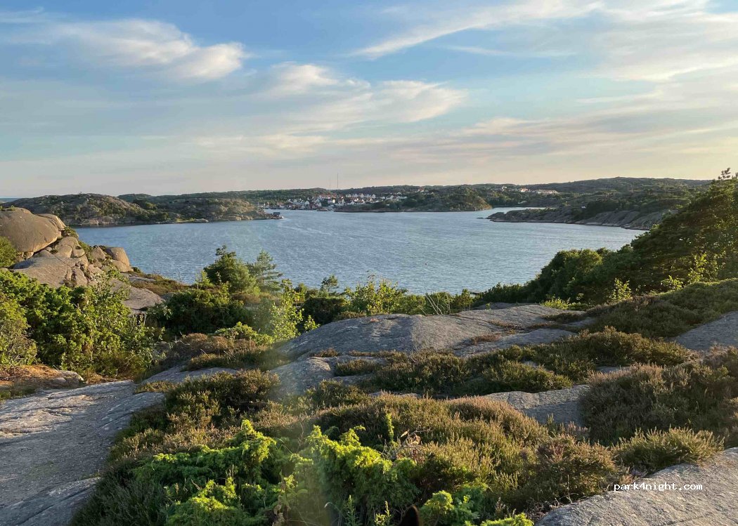 Örnefjordens Camping — foto 3
