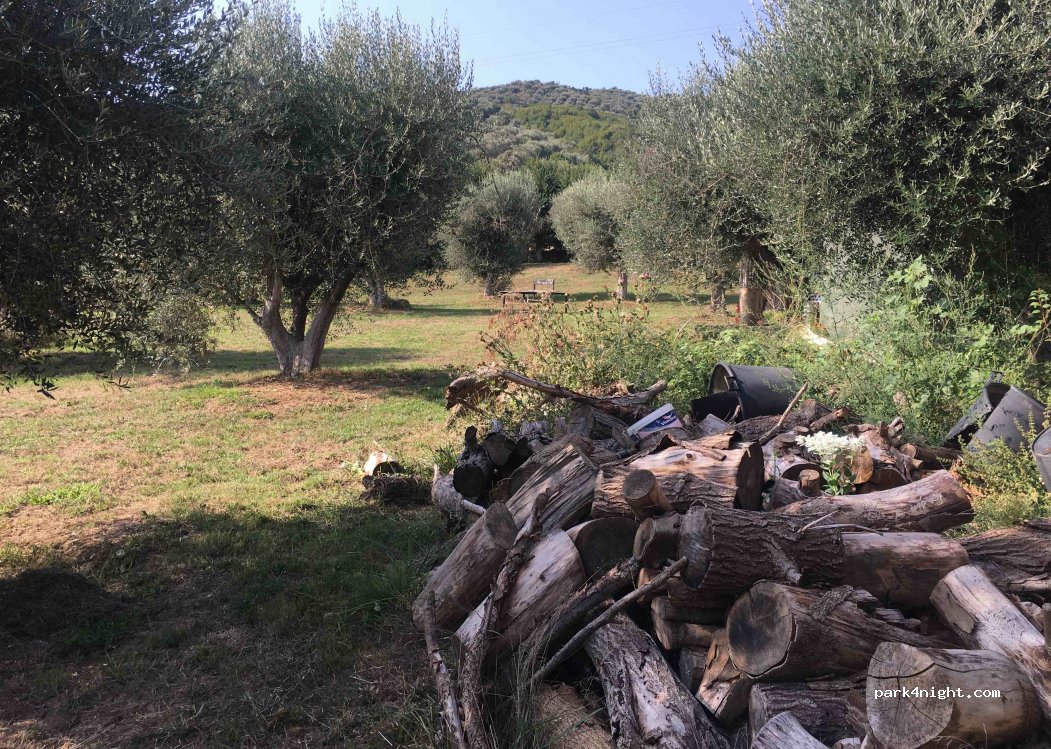 Camping Natyra e Qetë — foto 3