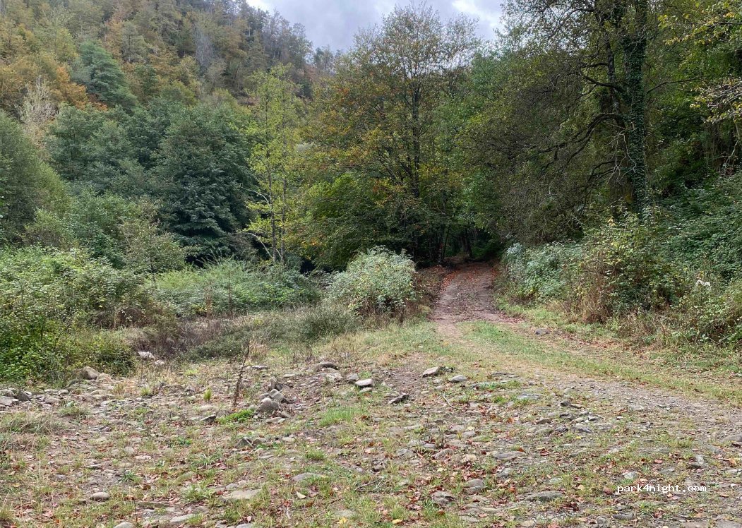 (51020) Lentula - Strada Provinciale 24 — foto 4