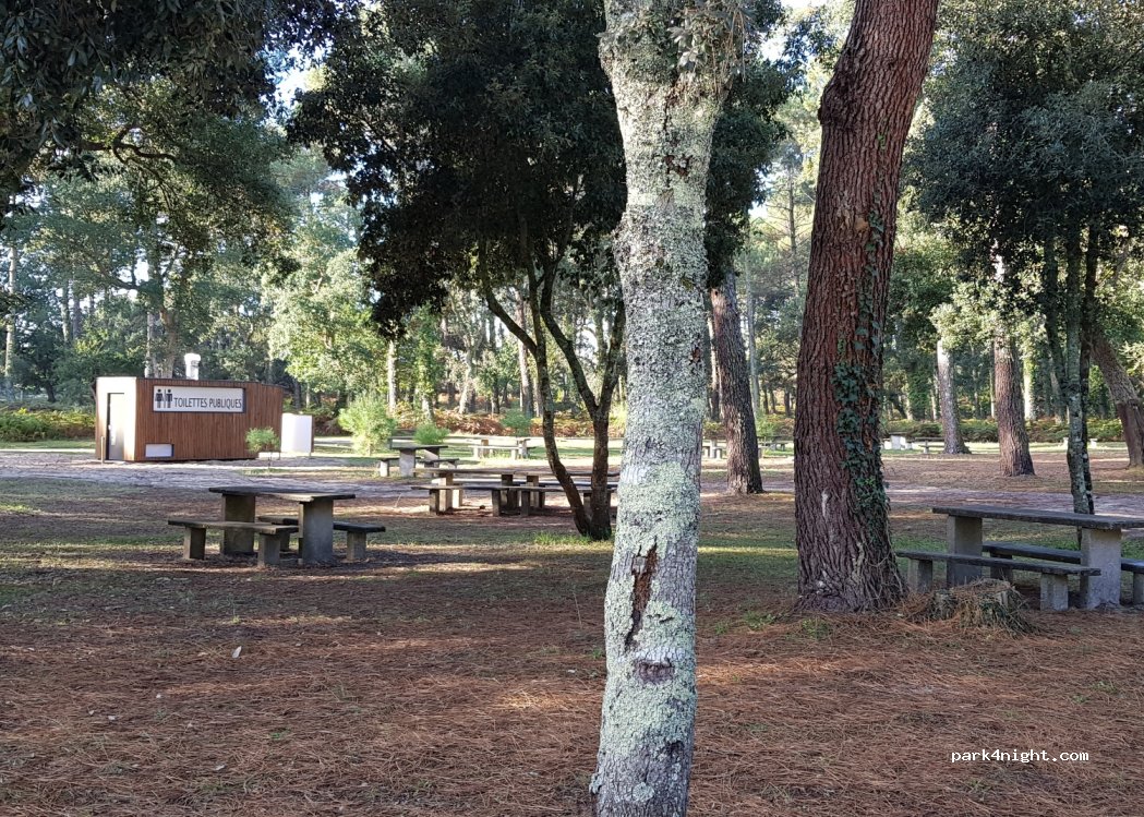 (40510) Seignosse - D89 — foto
