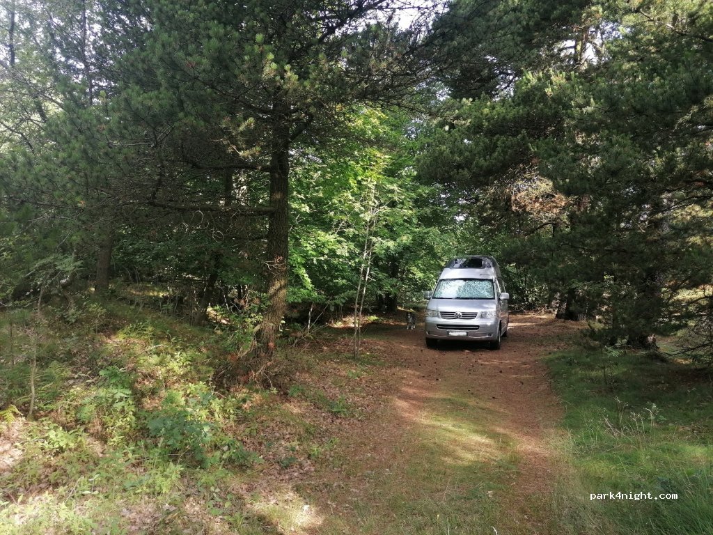 (9982) Ålbæk - 305 Råbjergvej — foto
