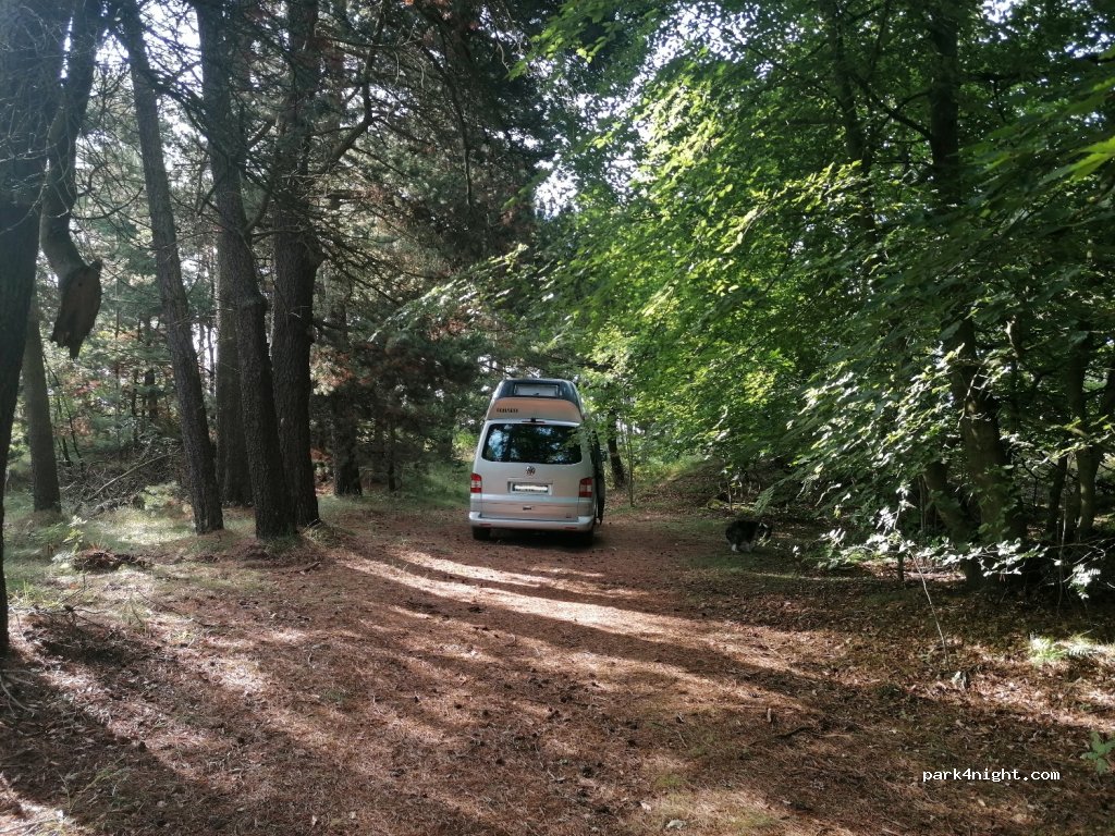 (9982) Ålbæk - 305 Råbjergvej — foto 2