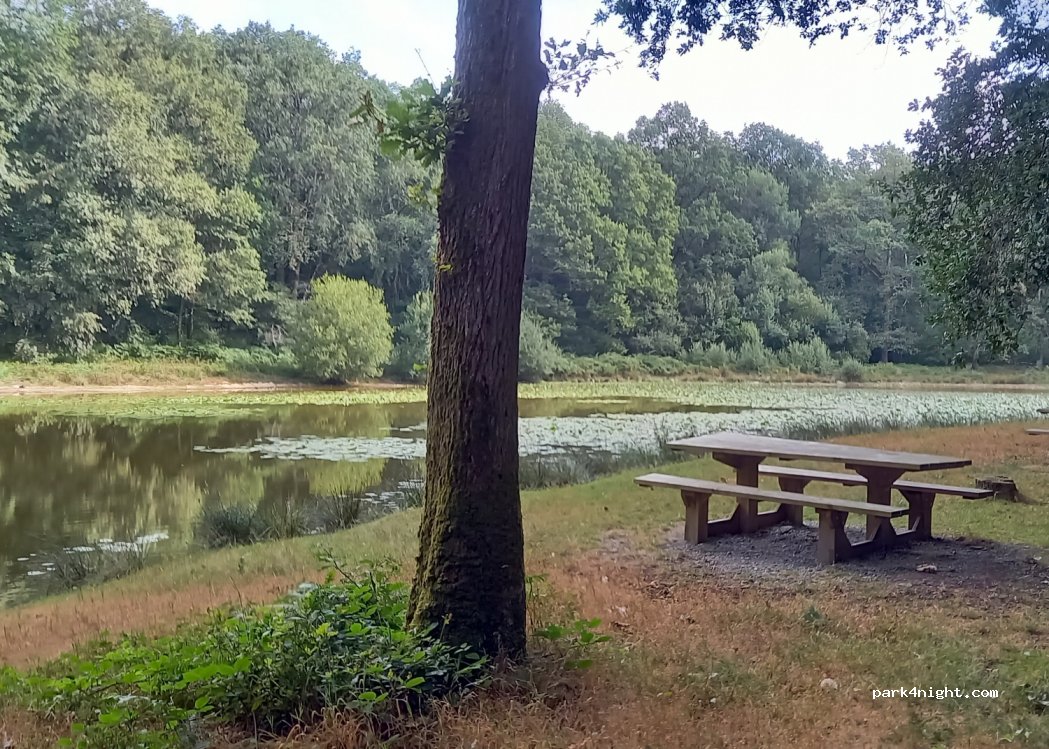 (72240) Saint-Symphorien - Unnamed Road — foto 3