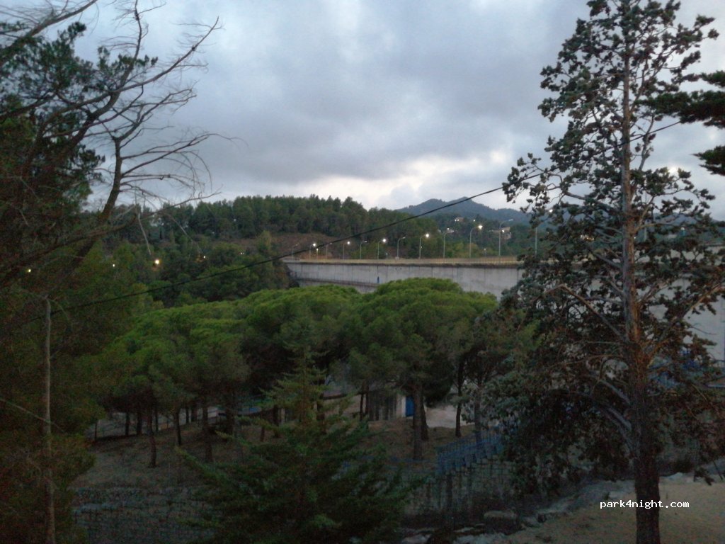 (43771) Riudecanyes - T-313 — foto