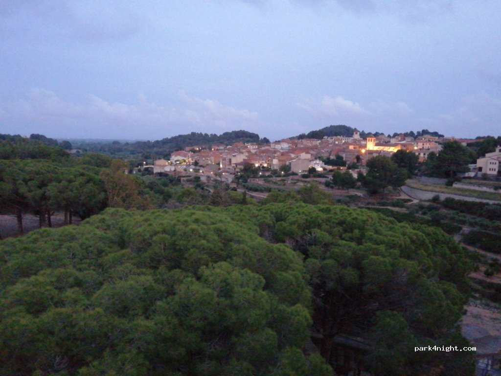 (43771) Riudecanyes - T-313 — foto 2