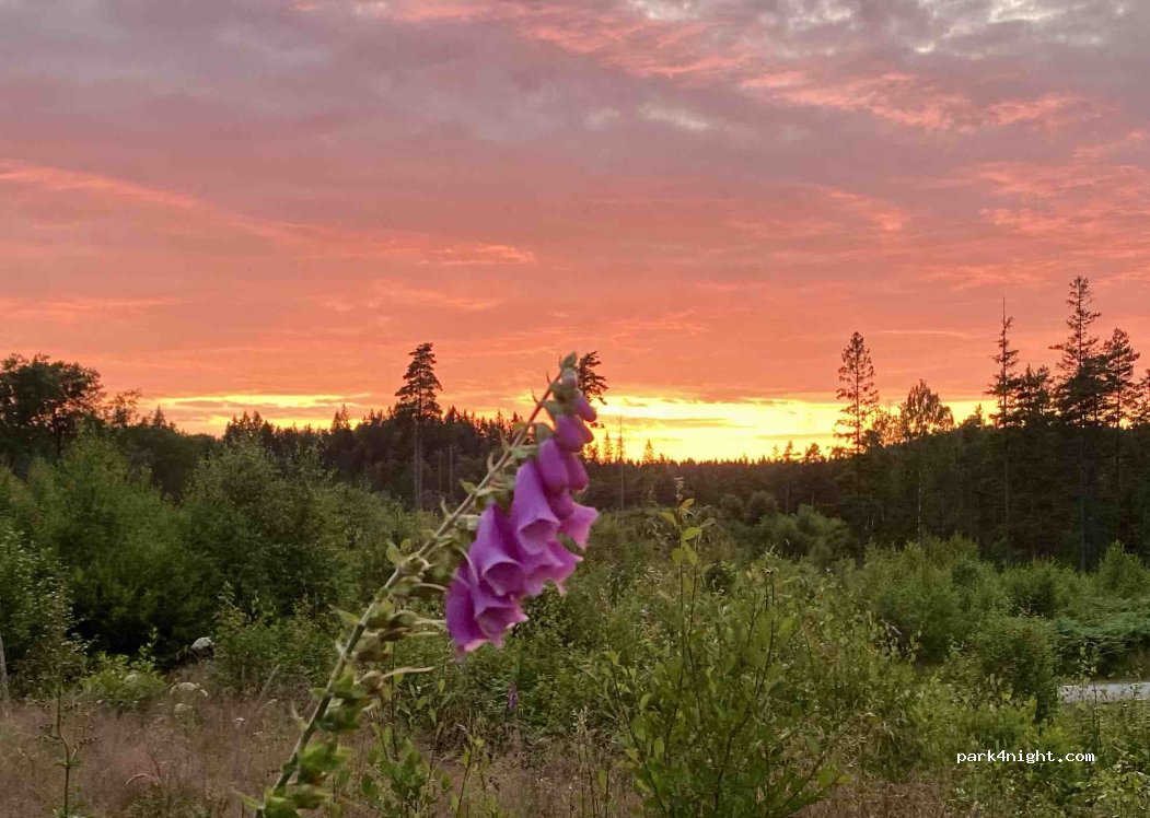 (310 60) Ullared - Unnamed Road — foto 4