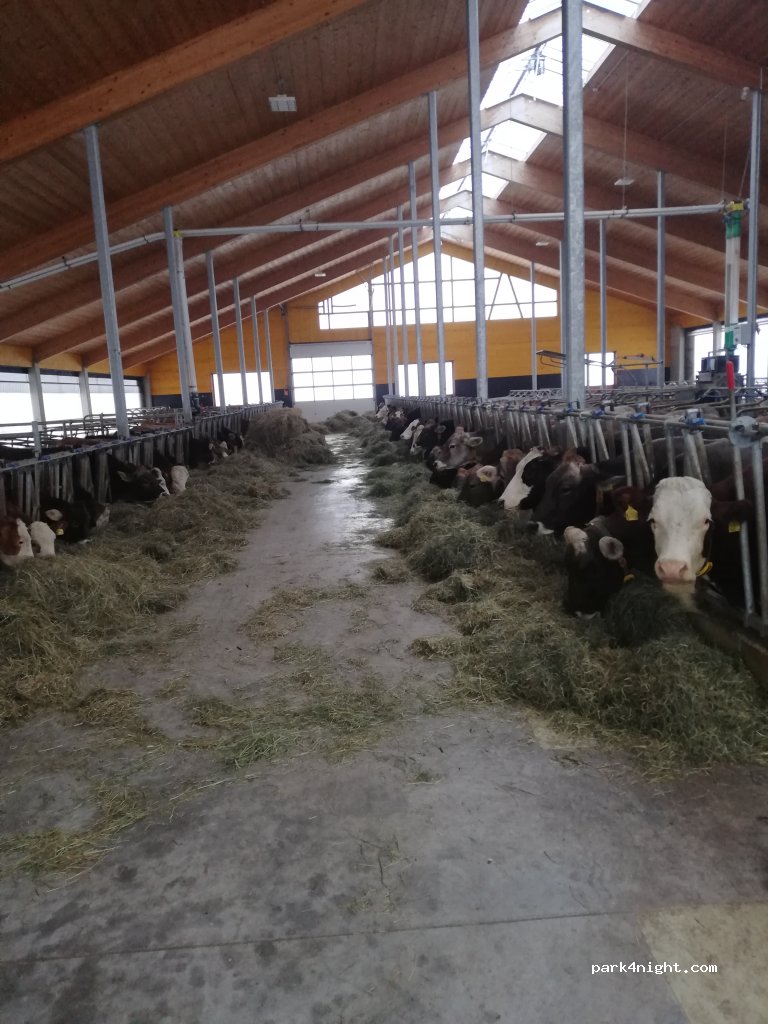 Bio-Heumilch Erlebnisbauernhof Gabler — foto 5