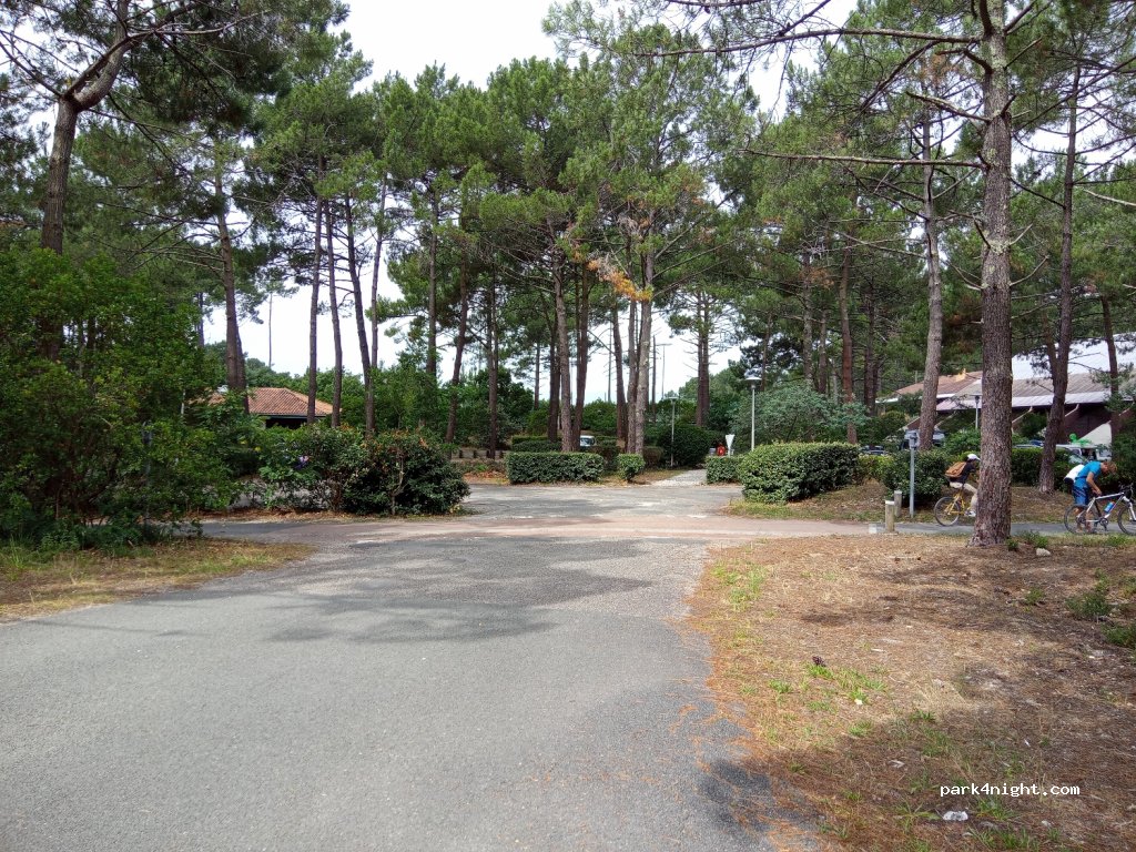(33680) Lacanau - Route du Baganais — foto