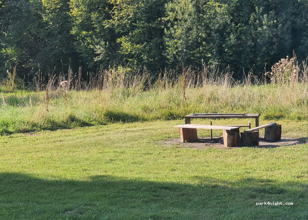 (24888) Loit - 2 Brebelholz — foto