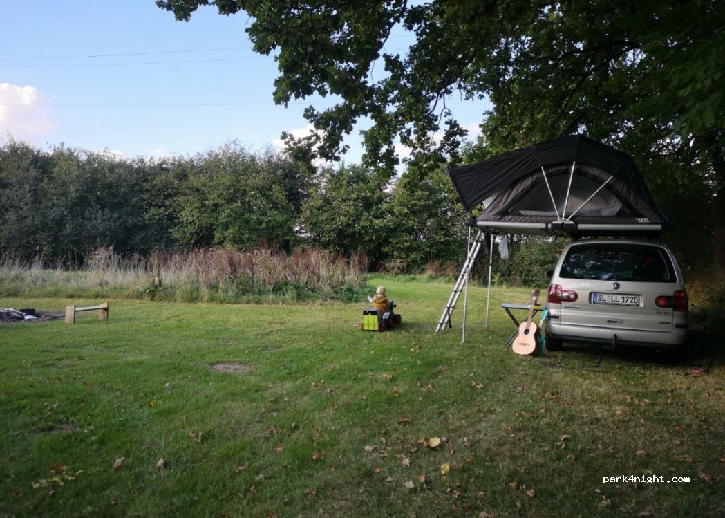 (24888) Loit - 2 Brebelholz — foto 2