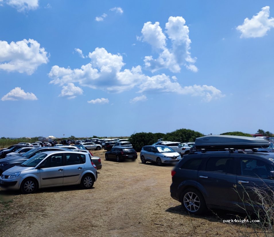(73050) Salve - 2 SP91 — foto