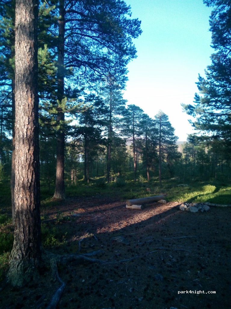 (2448) Sømådalen - Primær Fylkesveg 26 — foto