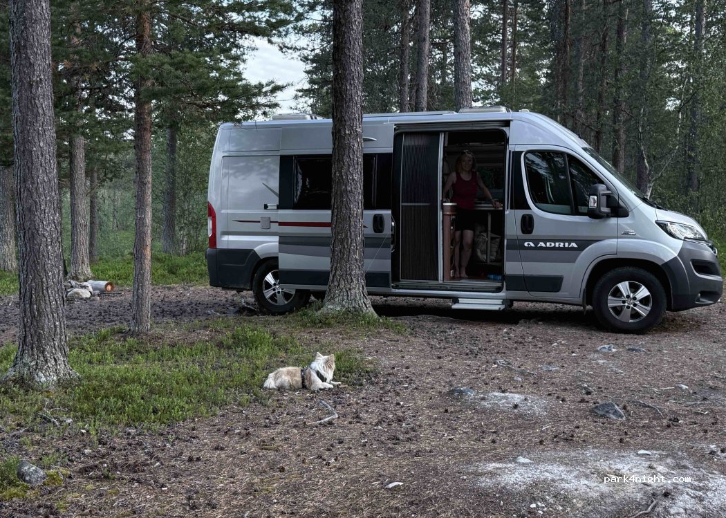 (2448) Sømådalen - Primær Fylkesveg 26 — foto 2