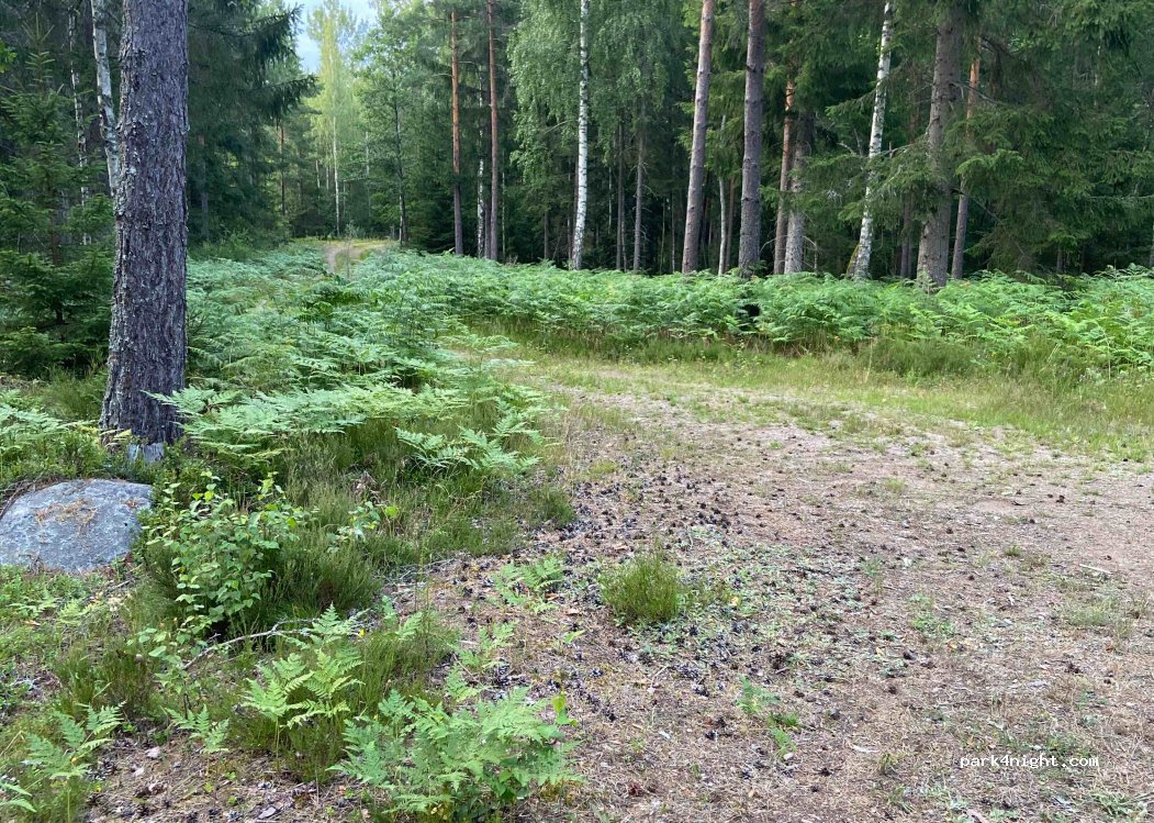 (579 90) Högsby - Unnamed Road — foto 2