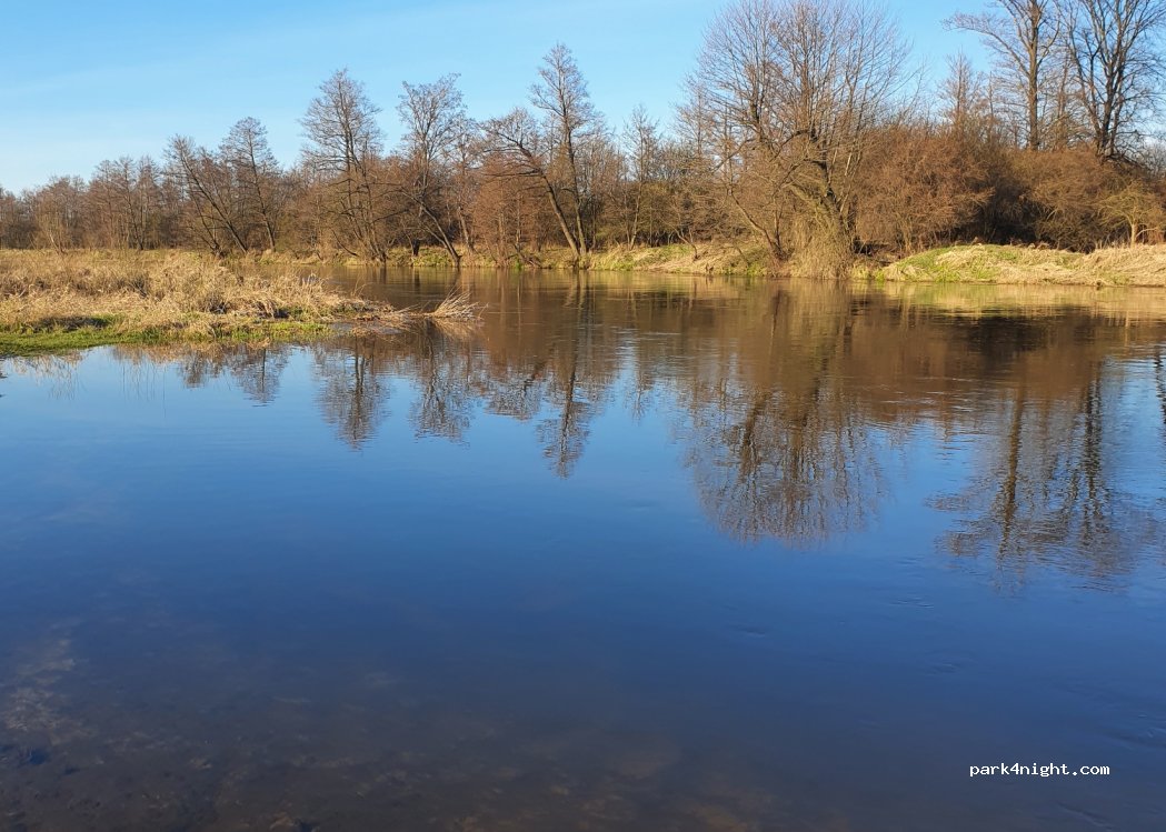 (28-305) Brzegi - — foto