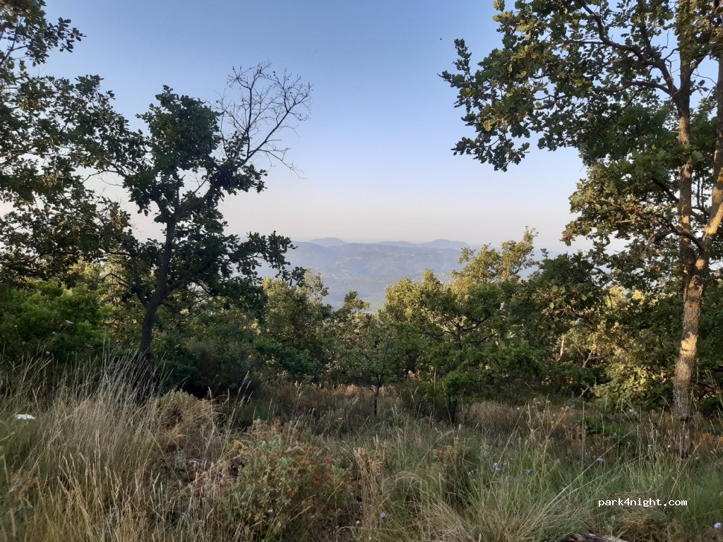 (06130) Grasse - Route de la Malle — foto