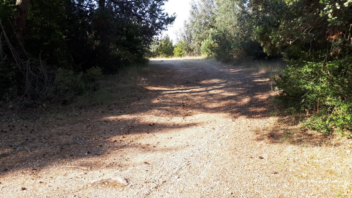 (22144) Bierge - Unnamed Road — foto
