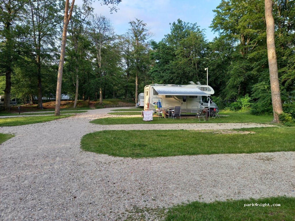 Het Grote Bos — foto