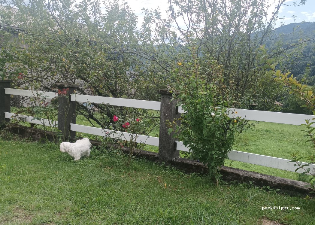(73400) Ugine - 177 Chemin de Champ Cortet — foto 5