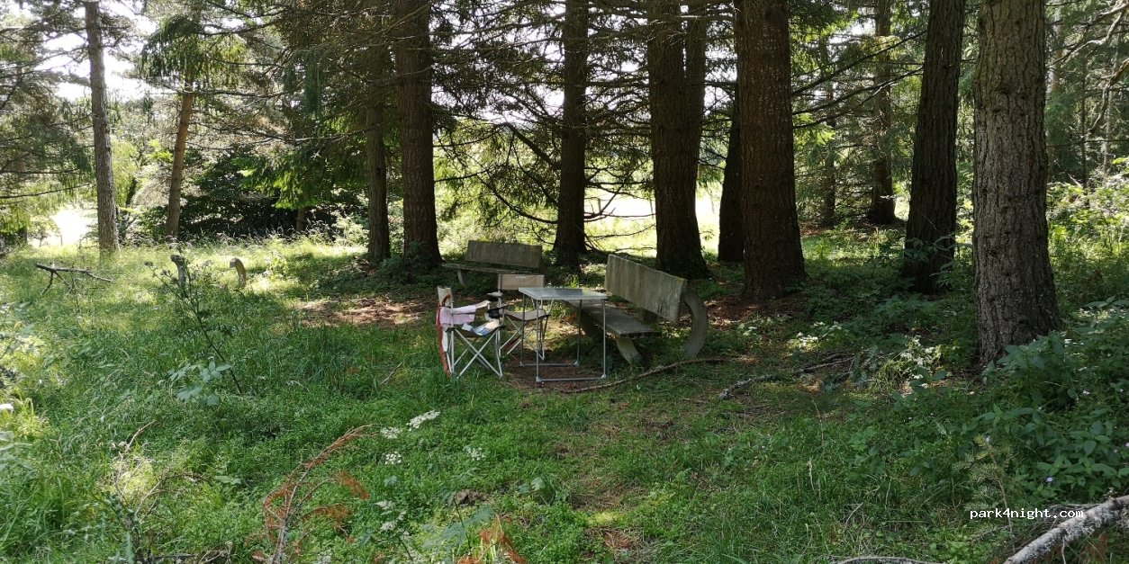 (15170) Neussargues en Pinatelle - D39 — foto 3