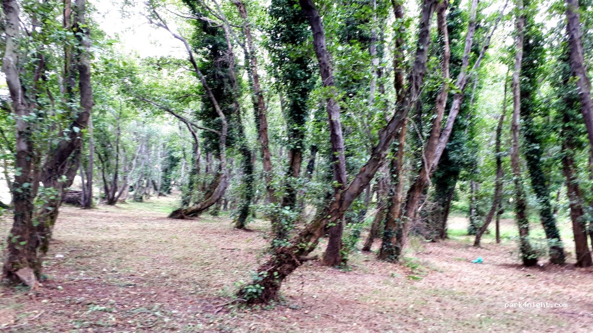 (15146) A Laracha - 30 Lugar Cancelo Abaixo — foto 2