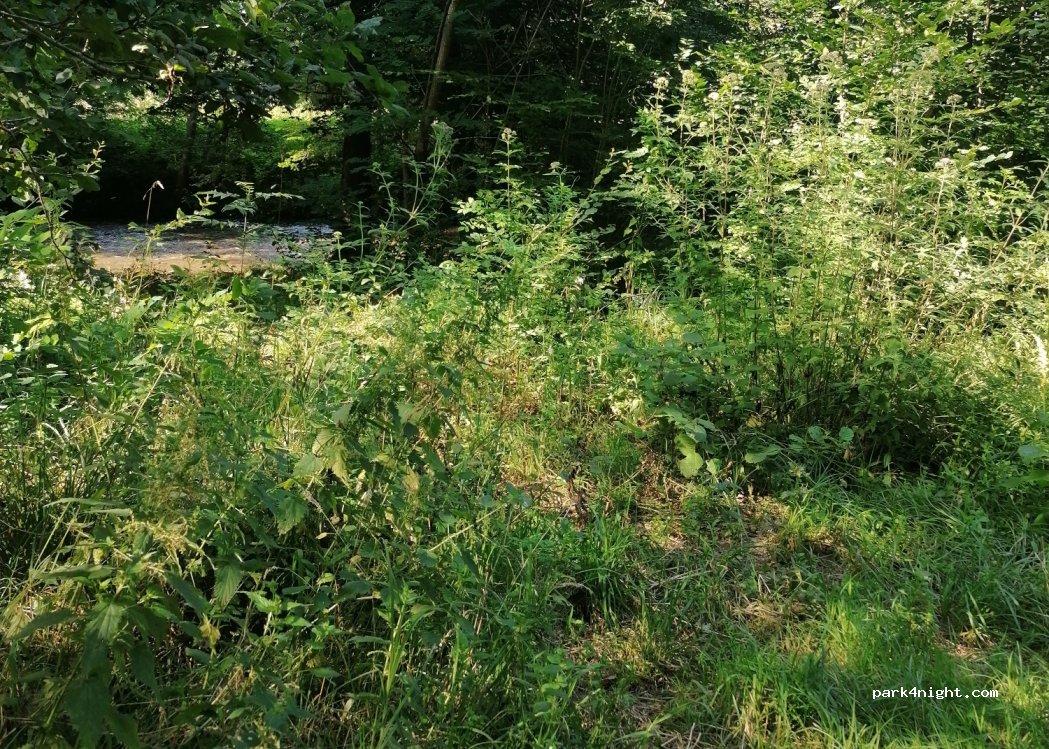 (46400) Saint-Céré - Siramon — foto