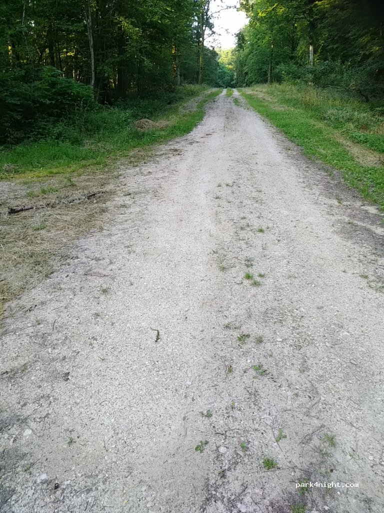 (55000) Les Hauts-de-Chée - Unnamed Road — foto