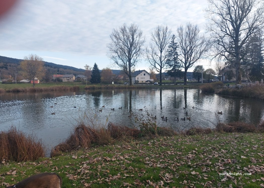 (01110) Champdor-Corcelles - 340 Route de Corcelles — foto 2