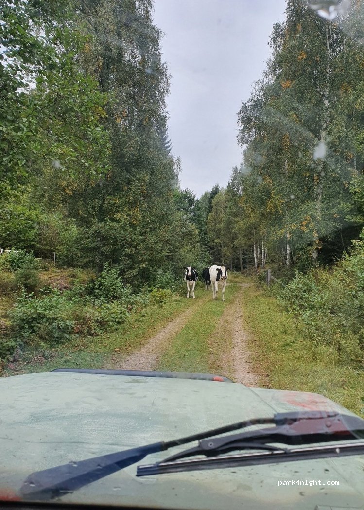 (590 78) Ljungsbro - Unnamed Road — foto 2