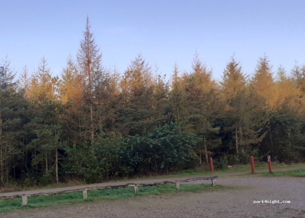 (6510) Gram - Stensbækvej — foto 5