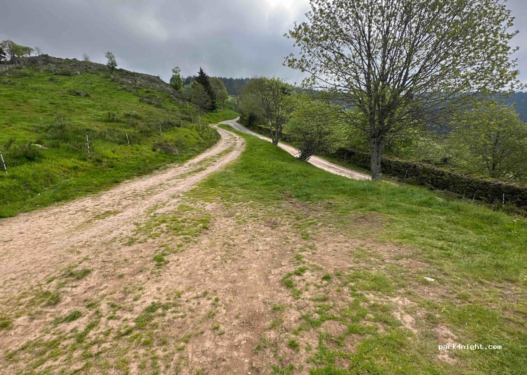 (88250) La Bresse - 3 Chemin des Gelinottes — foto 3