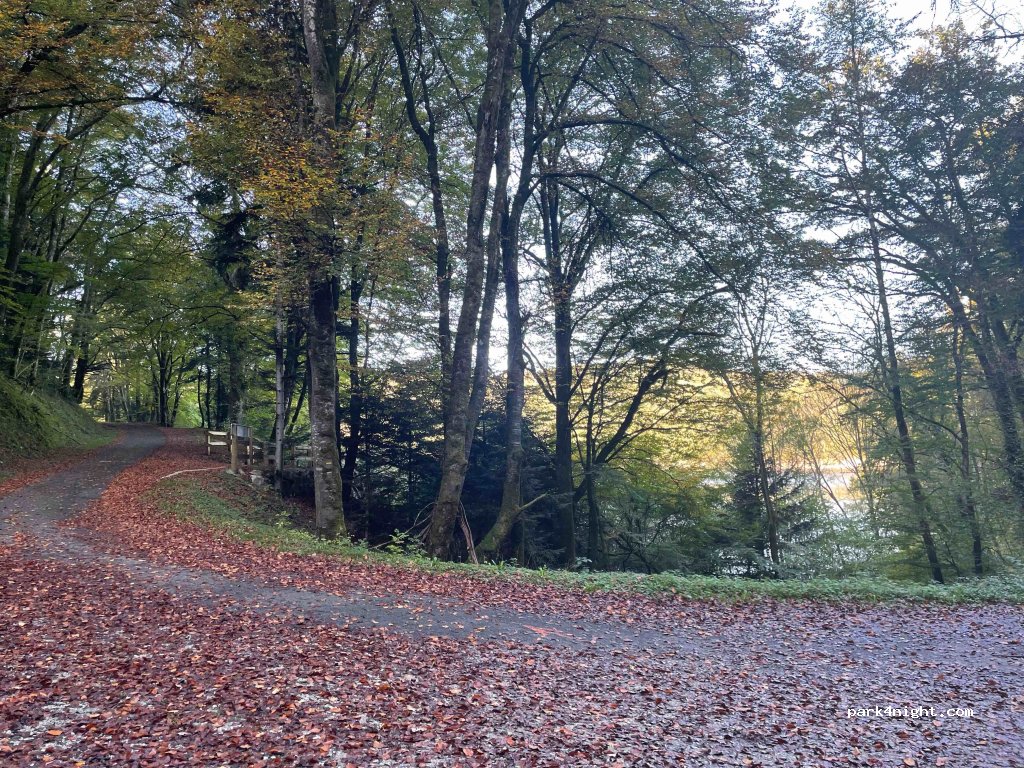 (15270) Beaulieu - Bois Devet — foto 4