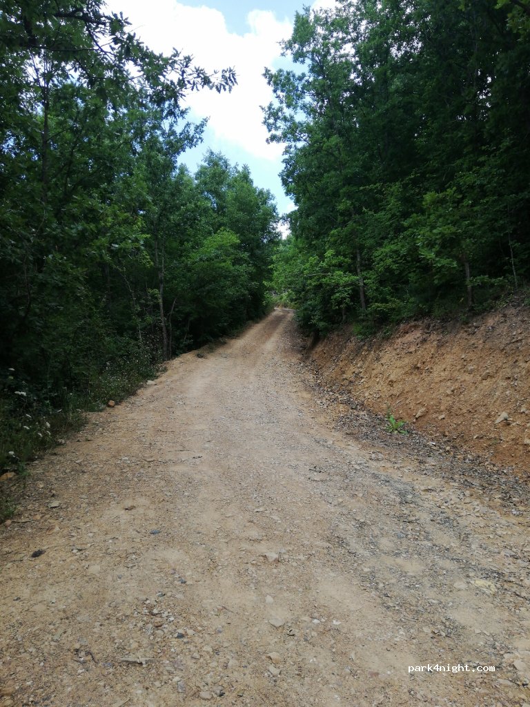 ()  - 125 — foto 2