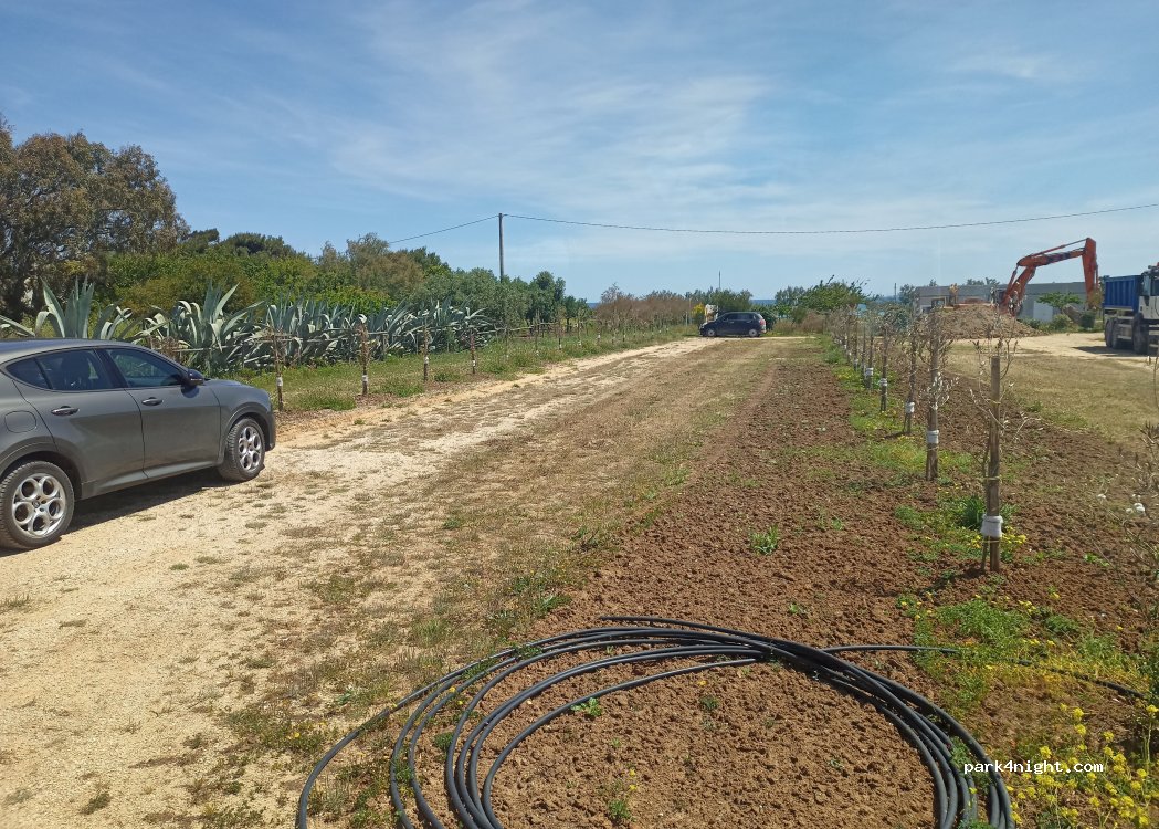 (72100) Brindisi - Strada per Baccatani — foto 2
