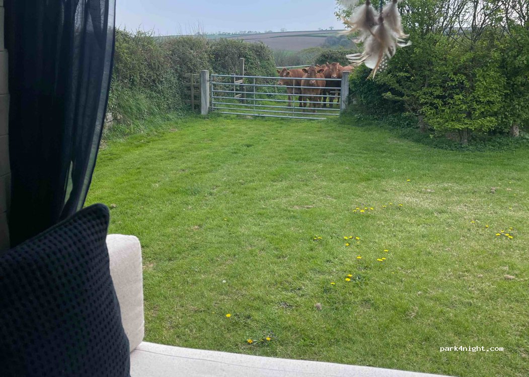 Higher Kestle Farm Camping — foto