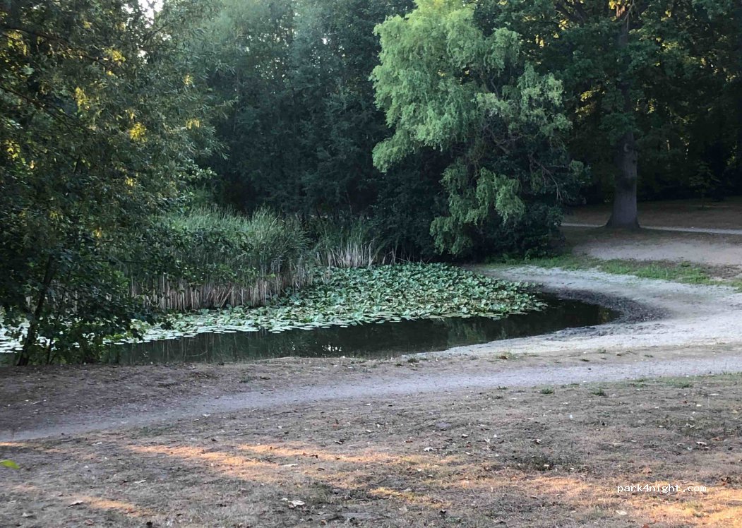 Camping am Waldsee — foto 3