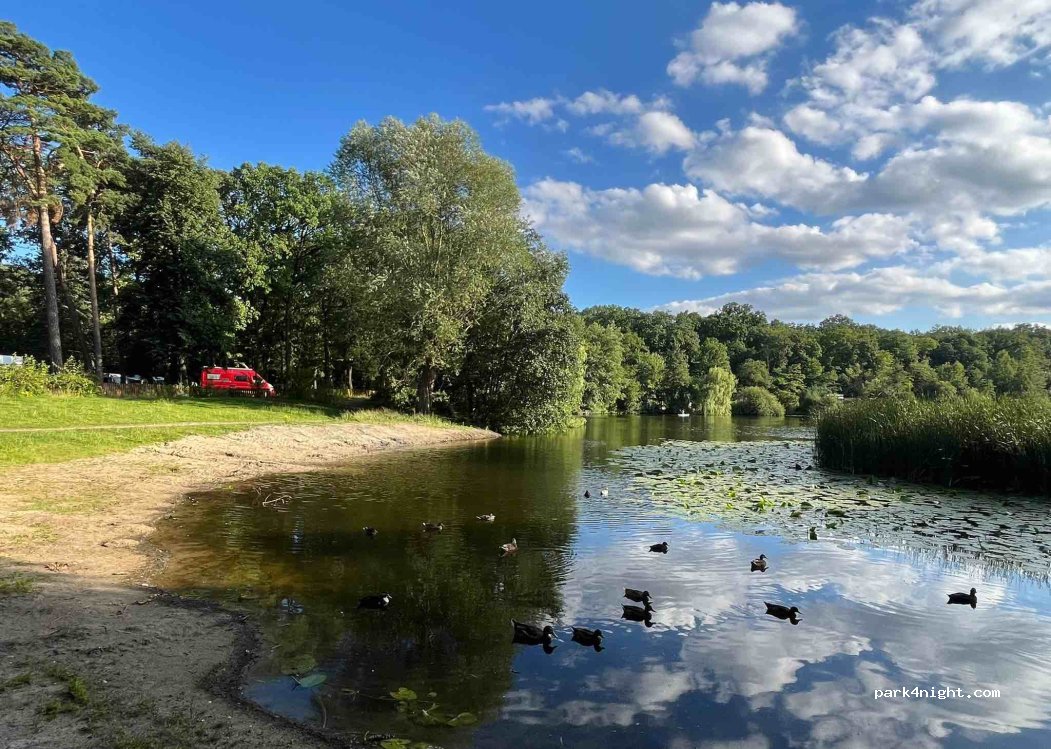 Camping am Waldsee — foto 4