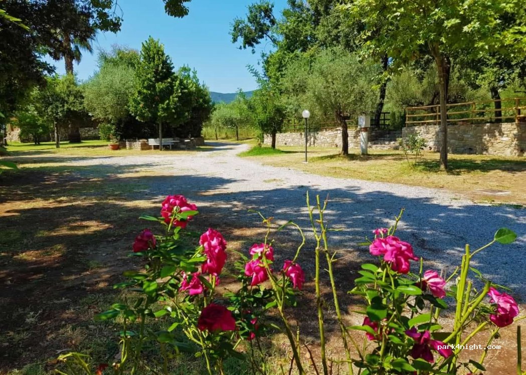 Trentova Camping Park — foto