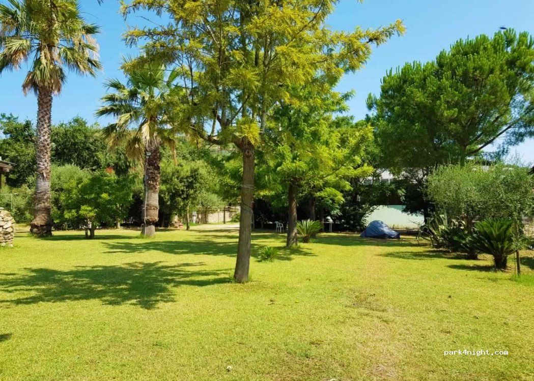 Trentova Camping Park — foto 3