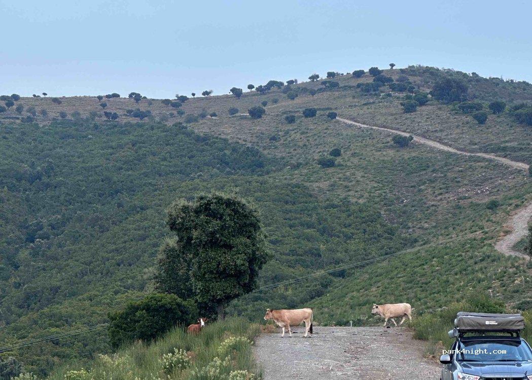 (20212) Sant'Andréa-di-Bozio - D14 — foto 2