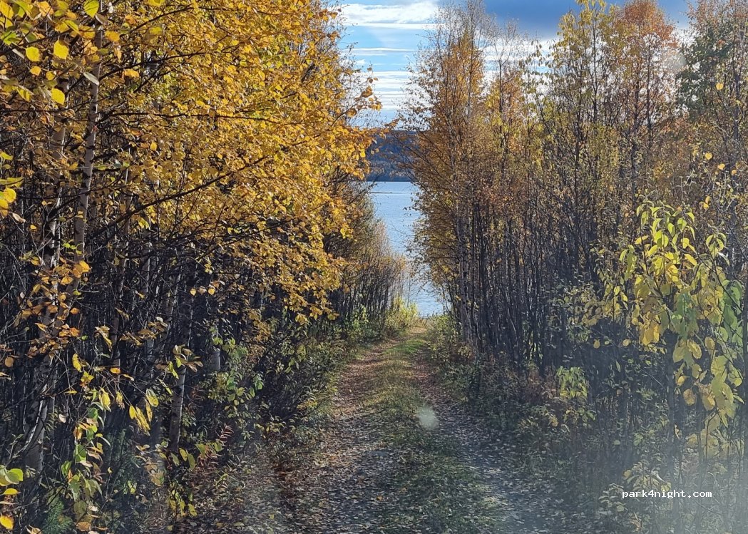(930 90) Arjeplog - 95 — foto