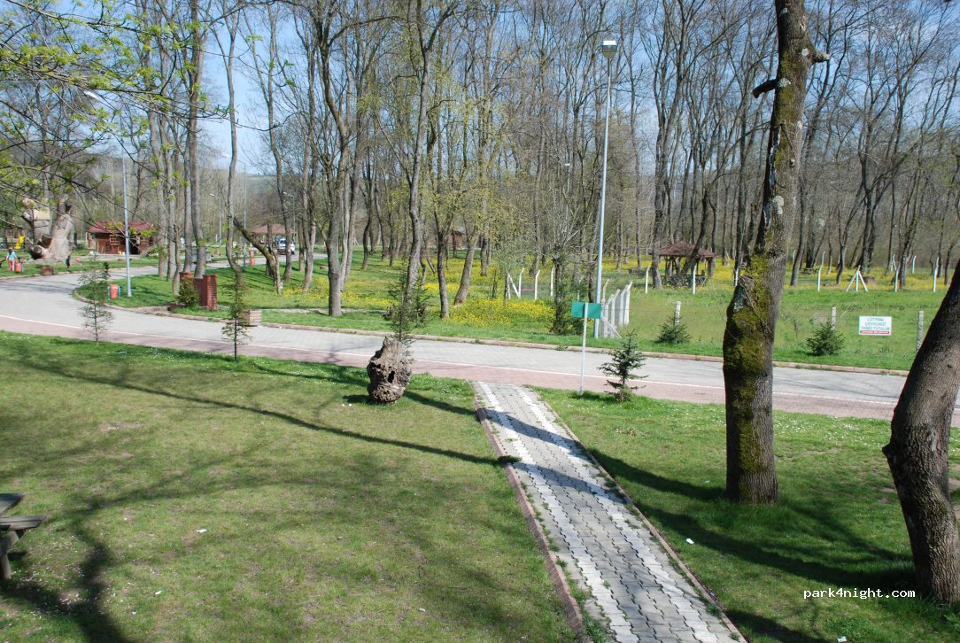(67900) Çaycuma - Kent Ormanı — foto 3